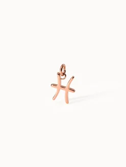 Outlet PURELEI Fische Zodiac Charm