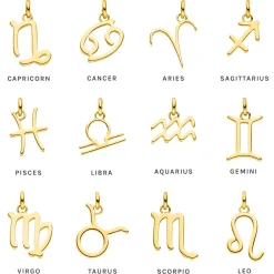 Clearance PURELEI Löwe Zodiac Charm