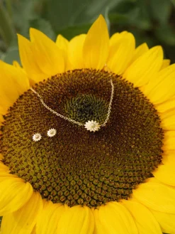 Flash Sale PURELEI Mahina Club Blooming