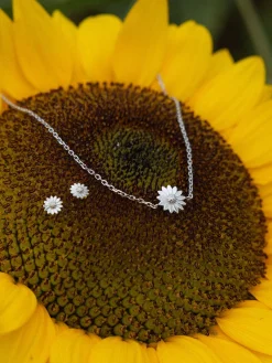Flash Sale PURELEI Mahina Club Blooming