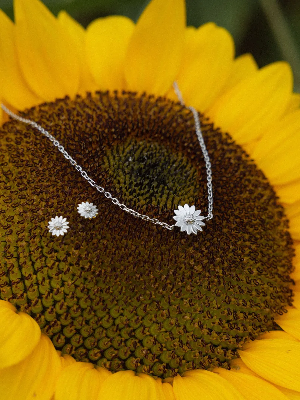 Flash Sale PURELEI Mahina Club Blooming