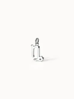 Hot PURELEI Steinbock Zodiac Charm