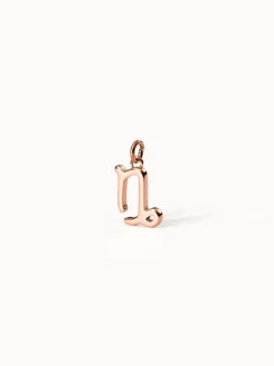 Hot PURELEI Steinbock Zodiac Charm