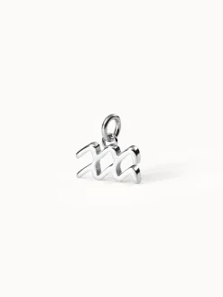 Hot PURELEI Wassermann Zodiac Charm