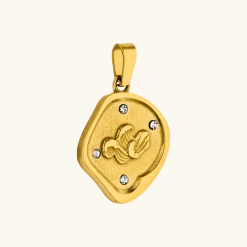 Best Sale PURELEI Wave Coin Charm