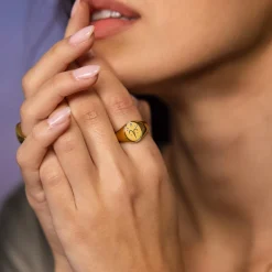 New PURELEI Widder Zodiac Ring Gold