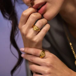 New PURELEI Widder Zodiac Ring Gold